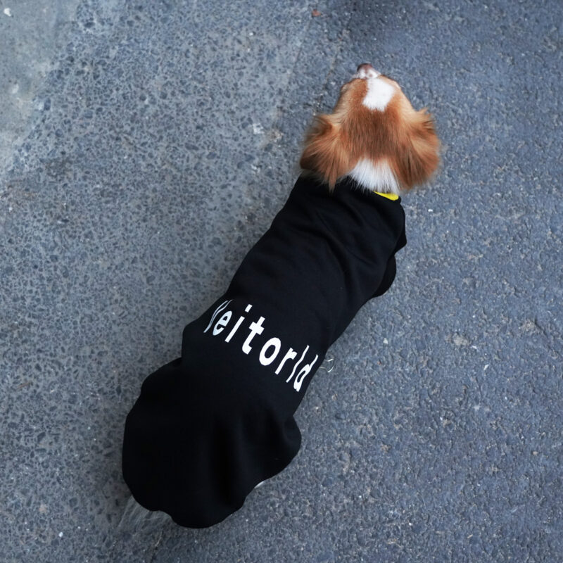 Veitorld Washable Dog Clothing - Comfortable Fit, Long-Lasting Fabric, and Cute Prints - Image 5