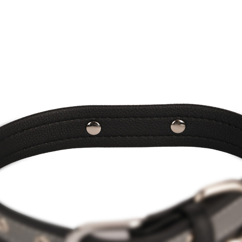 Veitorld Durable Dog Collar - Cute and Escape-Resistant Design for Secure and Reliable Wear - Image 3