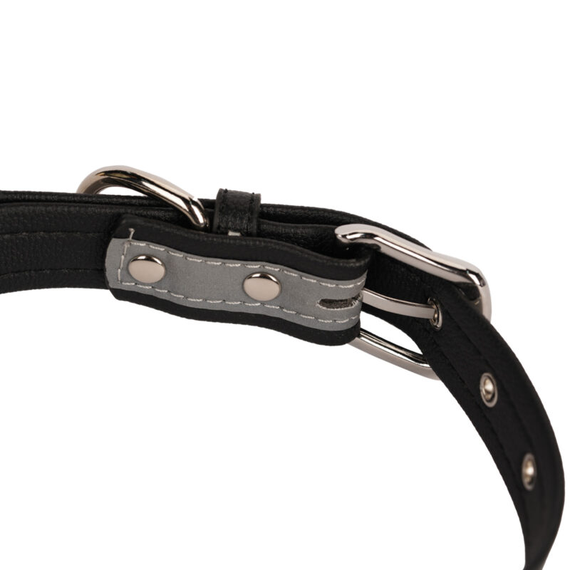 Veitorld Durable Dog Collar - Cute and Escape-Resistant Design for Secure and Reliable Wear - Image 4